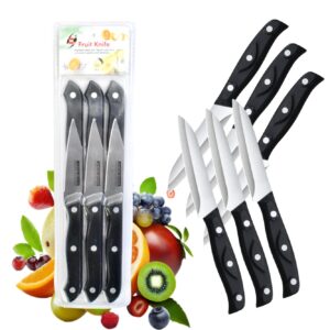 Set De Cuchillos De 6 Piezas Fruit Knife